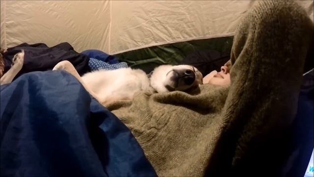 ОБЗОР ЗИМНЕЙ ПАЛАТКИ МОБИБА смотреть онлайн
