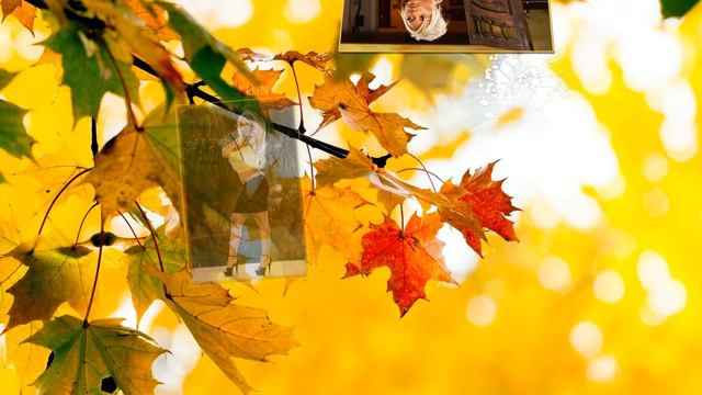 Bridgette B смотреть онлайн