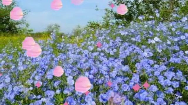 Виктор Давидзон. Танец цветов