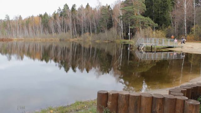 Релакс, природа, музыка для души и жизни 18 смотреть онлайн