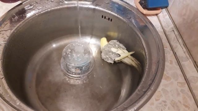 И снова мы купаемся))) Корелла Ксюша обожает купаться смотреть онлайн