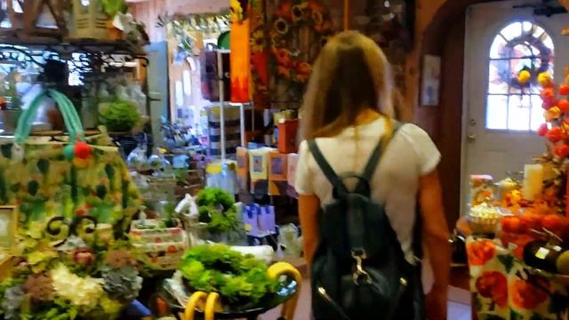 Куда мы попали? / краски осени в Америке #осеньвамерике #шоппингваамерике #жизньвамерике #хеллоуин смотреть онлайн