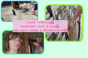 многодетная семья????новый член семьи?