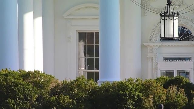 White House - Washington D.C 2013