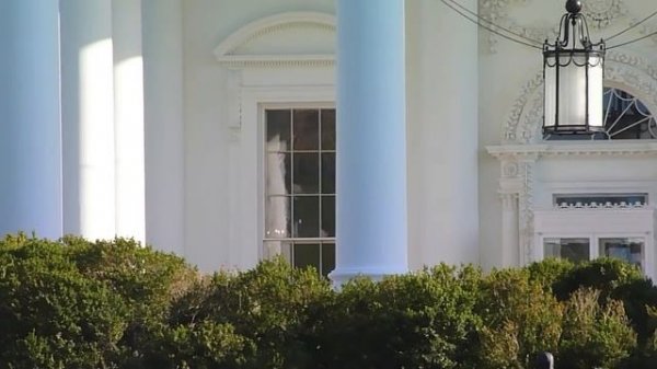 White House - Washington D.C 2013