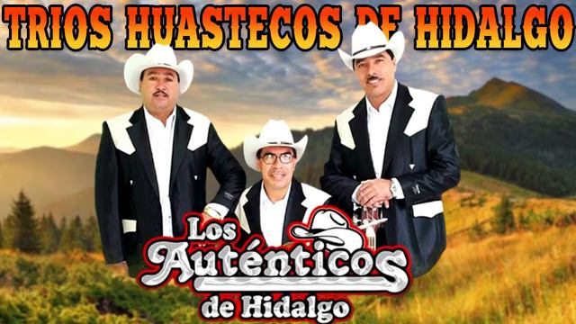 Trio Los Auténticos de Hidalgo LOS MEJORES TRÍOS DE HIDALGO 2022 смотреть онлайн