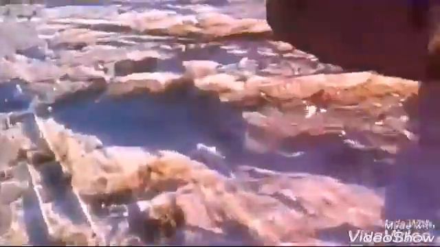 Не видео аболь смотреть онлайн