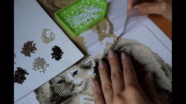АЛМАЗНАЯ ЖИВОПИСЬ . СПОСОБЫ ВЫКЛАДКИ КАМНЕЙ. КАК ЭТО ДЕЛАЮ Я / DIAMOND PAINTING. HOW TO DO смотреть онлайн