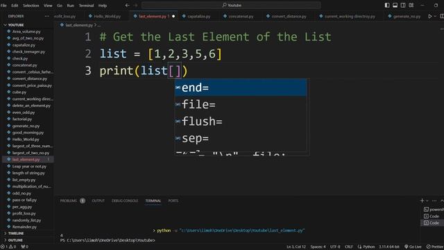 Get the last element of the list in Python by Code Solver смотреть онлайн
