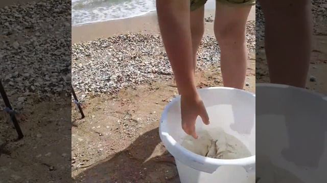 рыбалка на азовском море кучугуры ловим пиленгаса кефаль . поймали две кефальки на червя морского смотреть онлайн