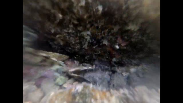 Фукуок, первый опыт снорклинга смотреть онлайн