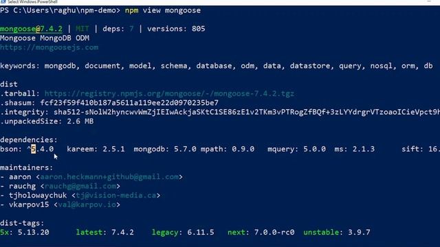 31. Viewing Registry Info for a Node Package | The Express.js Course 2023 | English смотреть онлайн