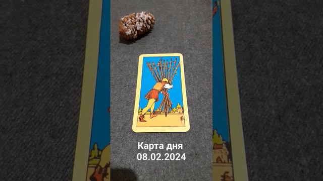 Карта дня 08.02.2024 - 10 Жезлов #картадня