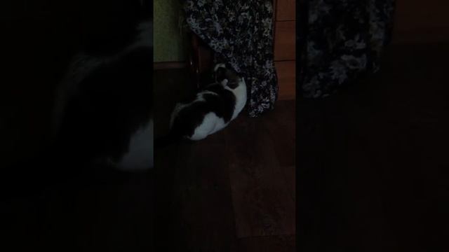 Танго с халатом. смотреть онлайн
