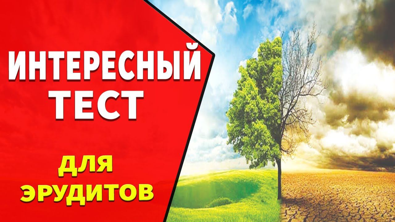Интересные тесты на эрудицию № 32 смотреть онлайн