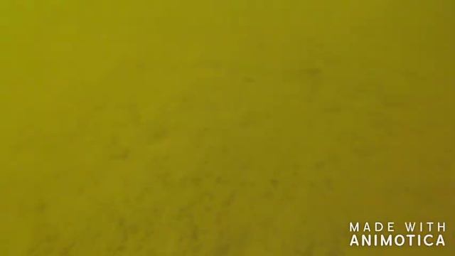 freediving смотреть онлайн