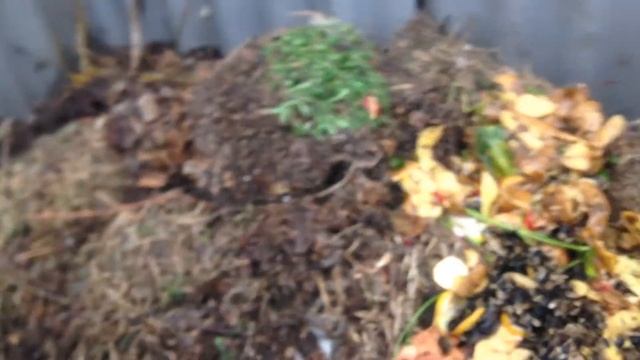 Глинистая почва, глина на участке смотреть онлайн