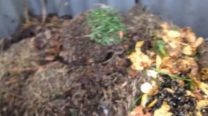 Глинистая почва, глина на участке