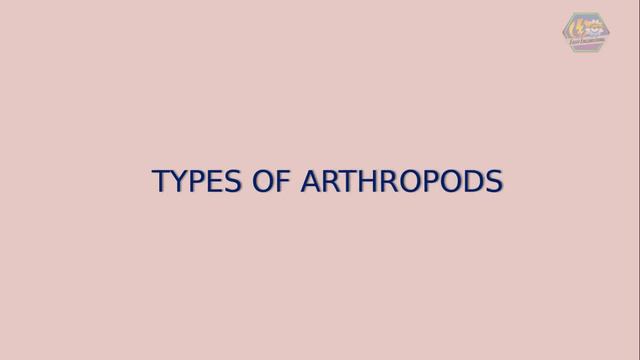 ARTHROPODS | Biology Animation смотреть онлайн