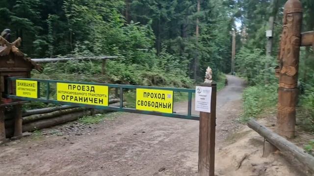 Колтушские высоты: система пеших и велосипедных троп под Петербургом смотреть онлайн