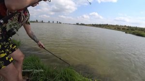 На рыбалке. Белый амур на камыш. Рыбалка Видео 4К  2017