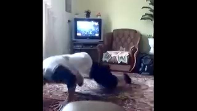 Как он здорово нагой в батарею врезал))).avi смотреть онлайн