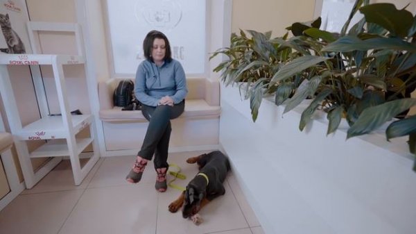 ZOO истории. Отзыв клиента ZOOЛЮКС Алины.