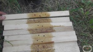 Двухплоскостная шпалера для винограда своими руками. Просто и недорого.