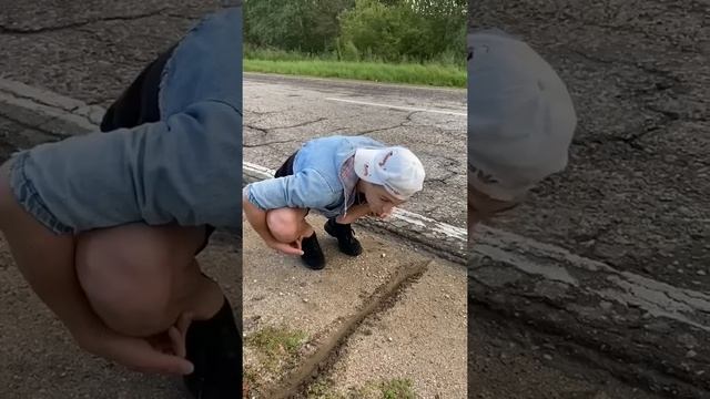 Чёрная кошка перешла дорогу| сталкивались с таким? #shorts смотреть онлайн