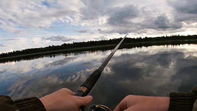 Ловля окуня и щуки с берега на блесну Mepps смотреть онлайн
