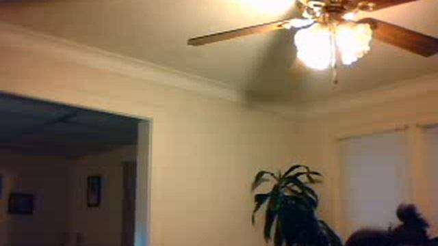 kia warning смотреть онлайн