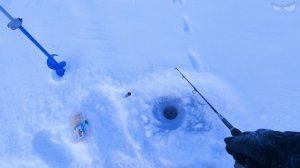 Рыбалка на вибы зимой❗Рыбалка без рыбы❗Зимняя рыбалка в уфе❗