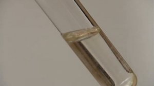 Реакция серебряного зеркала с глюкозой / The silver mirror reaction with gluccose