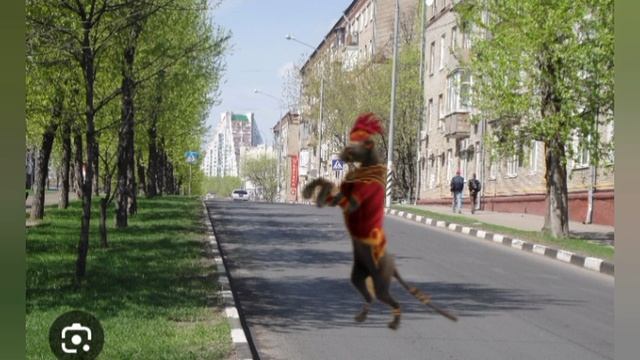 шеба из wilbcraft пошла в магазин смотреть онлайн