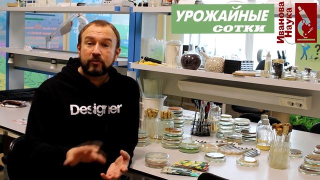 А надо ли проращивать семена? А если надо - то как долго? смотреть онлайн