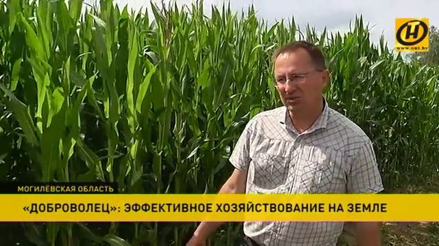 «Совхоз «Доброволец» – пример эффективного хозяйствования на земле смотреть онлайн