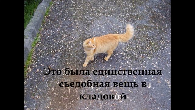 Сложные ударения