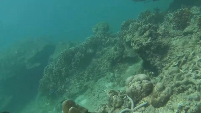 Snorkeling at Ao Sane Beach, Phuket смотреть онлайн