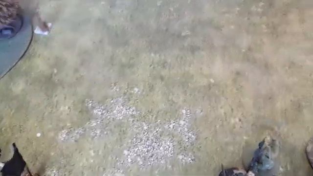 Age of Sigmar Soulblight Gravelords Vs Maggotkin of Nurgle matched play 750 game смотреть онлайн