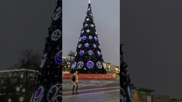 Новогодние украшения на площади Победы в Калининграде