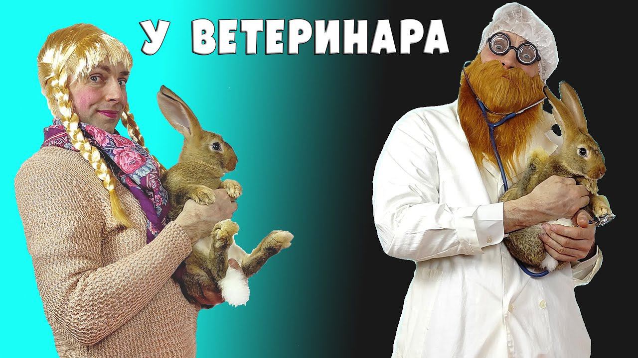 На приеме у ветеринара смотреть онлайн