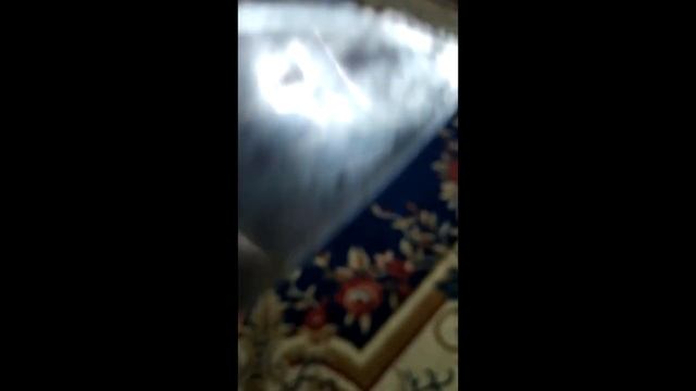 Нож после травления лимонной кисл смотреть онлайн