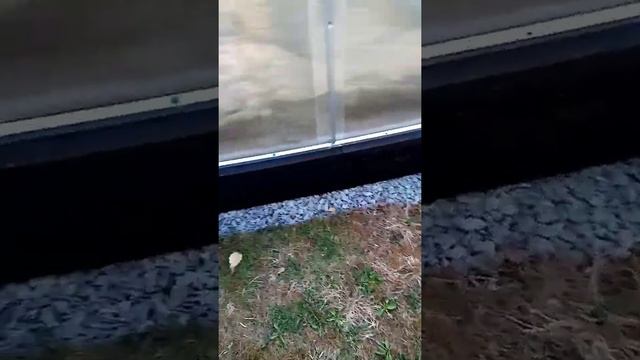Грядки в теплице 6 на 3, размещение грядок в теплице смотреть онлайн