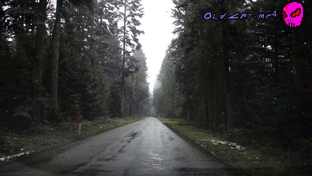 Смертельный файл (33№) : Гнилое фото смотреть онлайн