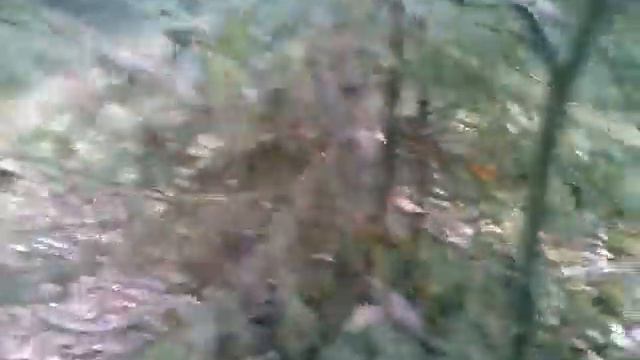 Съездил в лесок(3) смотреть онлайн