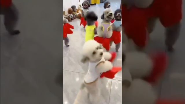 ЖЕЛАЮ ВСЕМ ХОРОШЕГО НАСТРОЕНИЯ. смотреть онлайн