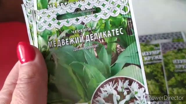 VLOG FAMILY. НАШИ ВЫХОДНЫЕ. ЧЕТЫРЕ ЛАПЫ. СПОРТМАСТЕР. СЕЕМ СЕМЕНА. ГОТОВИМ. смотреть онлайн