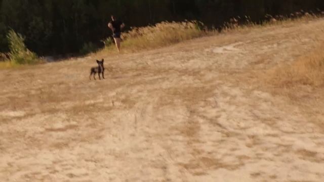 показываю СВОЮ!! дачу и мне исполнилось 20 лет ? дачный влог смотреть онлайн