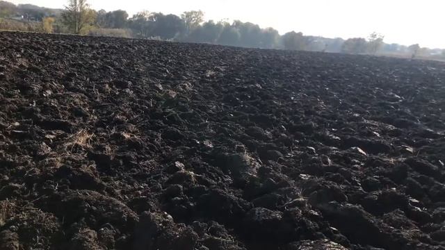 УЧАСТОК В РЕКУ /35 СОТОК /Цена : 6 500 000/Краснодарский край,Динской район ,село Первореченское смотреть онлайн