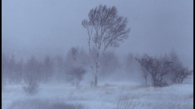 А  Пушкин  Бесы #стихиоприроде #философскаялирика #стихиозиме #поэты19века